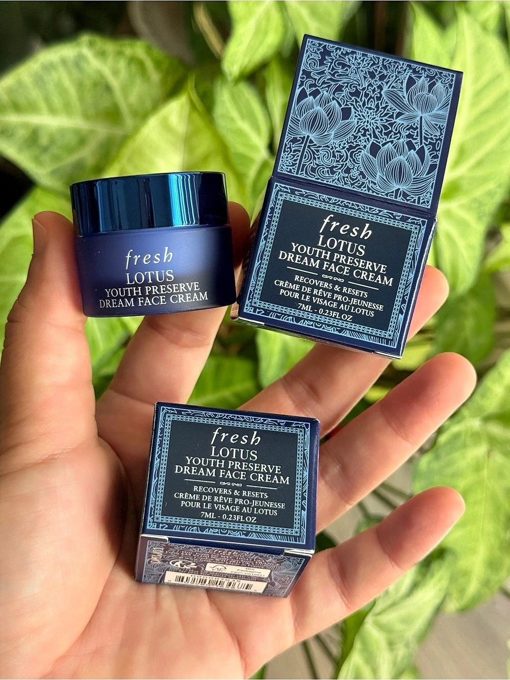 Fresh Lotus Youth Preserve Dream Face Cream – 7mL / 2-Piece Set